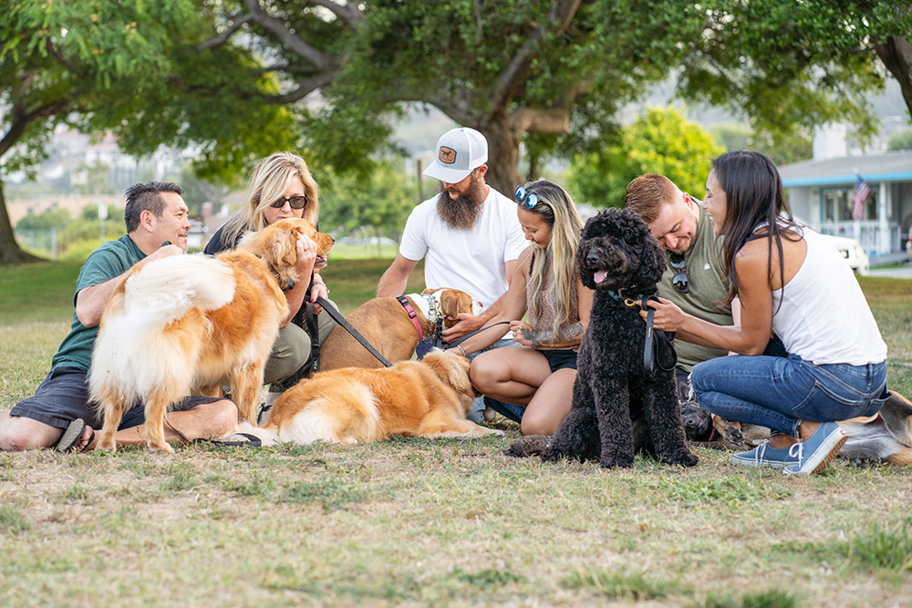 South Bay Animal Connection group therapy session